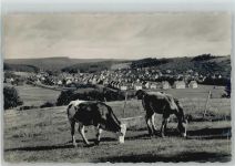 72827 W7415 Wannweil