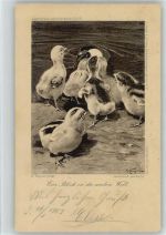 Künstler sign Huhn 1903 Kupfertiefdruck