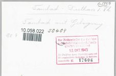 99897 O5809 Tambach-Dietharz , Thüringerw