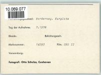 26548 W2982 Norderney FOTO KEINE AK