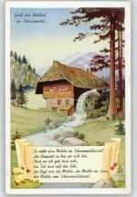 75323 W7547 Bad Wildbad im Schwarzwald 1954 - Wassermühle