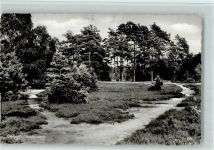 38518 W3170 Gifhorn - Heideweg