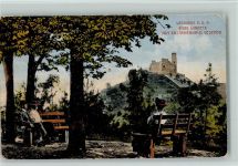 69469 W6940 Weinheim , Bergstr - Burg Windeck Kastanienwald Bänke
