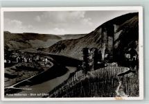 56821 W5597 Ellenz - Ruine Metternich