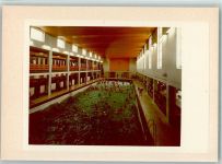 26548 W2982 Norderney FOTO KEINE AK Wellenbad
