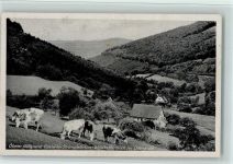 69429 W6935 Waldkatzenbach - OBerer Höllengrund Gaimühl Strümpfelbrunn Ortsansicht Kühe