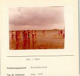 25938 W2270 Wyk auf Föhr FOTO KEINE AK Foto montiert auf Karton