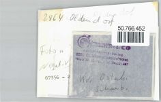27729 W2864 Oldendorf , Kr Osterholz FOTO KEINE AK Foto mit Negativ, Ehrenmal