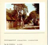 25938 W2270 Oldsum FOTO KEINE AK Lindenstraße Foto montiert auf Karton