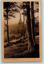 W4930 Detmold Hermanns-Denkmal Denkmal Kupfertiefdruck
