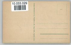 56370 W5429 Biebrich - Raddampfer Schloß Biebrich