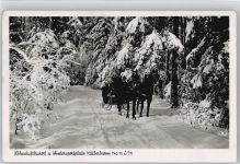 72285 W7293 Kälberbronn - Pferdeschlitten Winter