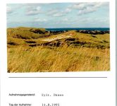 25992 W2282 List , Sylt FOTO KEINE AK Dünen Foto montiert auf Karton