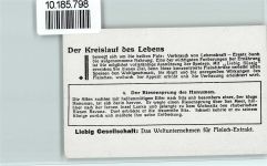 Nr. 4 Indisches Epos, das Ramayana, Sammelbild Liebig