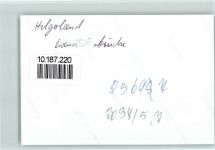 27498 W2192 Helgoland FOTO KEINE AK Landungsbrücke
