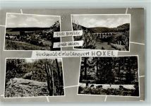 54497 W5552 Hoxel - Fuchs Rehe