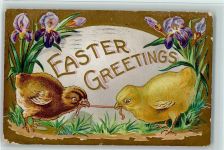 Easter Greetings , Küken mit einem Regenwurm AK Huhn 1910 Prägedruck