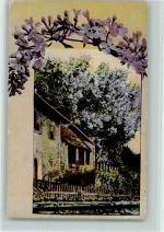 Fliederbaum am Haus AK Flieder 1915