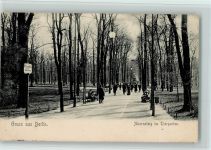 10115 W1000 Berlin Tiergarten 1905 - Ahornsteig im Tiergarten