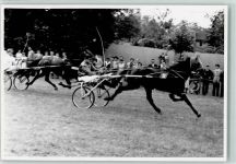 Wettkampf ca 1956 Trabrennen FOTO KEINE AK