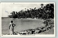 Foto AK Palm fringed coast of Ceylon AK