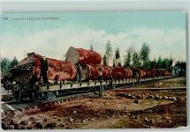 Logging Train in California Baumstämme werden mit der Eisenbahn transportiert Forstwirtschaft 1909 Gebrauchsspuren