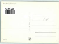 Arosa Bellevue Schlittenfahrt Pferdeschlitten