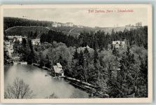 37441 W3423 Bad Sachsa - 1915 Schmeltteich