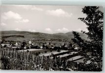 79235 W7818 Burkheim , Kaiserstuhl - Weinreben