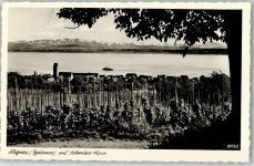 88709 W7759 Hagnau am Bodensee - Bodensee Schweizer Alpen