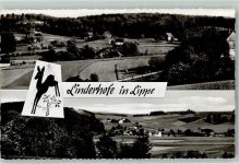 32699 W4923 Linderhofe - Reh
