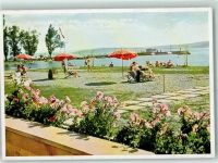 88690 W7772 Unteruhldingen , Bodensee - Strandbad Liegewiese Blumensträucher