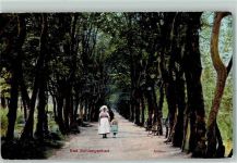 65388 W6229 Schlangenbad , Taunus 1912 - Waldallee