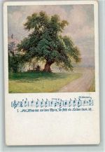 Deutscher Schulverein Karte 904 - Liederzeile mit Noten - Bäume , Lindenbaum AK Schulverein