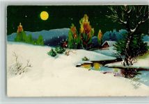 HWB Nr. 2901 Winterlandschaft bei Mondschein AK Serie Lithographie