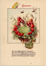 Pilz Januar Insekten AK Monat 1948