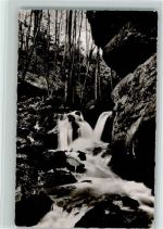 69439 W6931 Zwingenberg , Baden - Wolsschlucht Wildbach