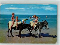 Kinder reiten am Strand auf einem Esel AK Esel