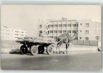 Karatschi Gebrauchsspuren the Camel Cart