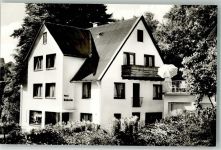 34508 W3542 Willingen (Upland) , Waldeck Foto AK Haus Daheim Terrasse Baumblüte