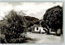 56593 W5453 Niedersteinebach Foto AK Gasthaus Haus am Walde