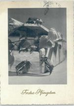 Pfingsten - Holzkasten - 1957 AK Maikäfer