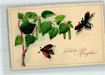 Pfingsten - Maikäfer fliegen zum Birkenast ca 1929 AK Maikäfer