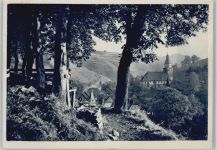 38709 W3391 Wildemann