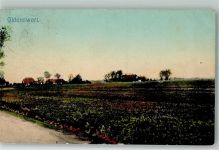 25870 W2251 Oldenswort 1914