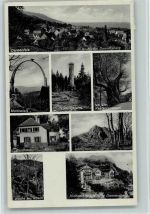 67814 W6765 Dannenfels , Pfalz - Blick vom Donnersberg Moltkefels Ludwigsturm 500-jähr. Kastanienbaum Waldhaus Königstuhl Wacht am Rhein Kinderheilstätte Villa Donnersberg Mehrfachaufnahme