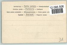Papagei breitet die Flügel aus ca 1905 AK Papagei