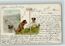 Hunde baden , litho 1900 AK Hund