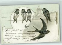 sitzen auf der Stromleitung , Litho 1903 AK Schwalbe Prägedruck
