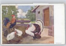 sign Saliger - Hühnerhof - Hühner und Puter Huhn Künstlerkarte